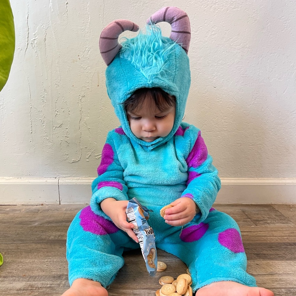 Monsters Inc Sulley costume 2T